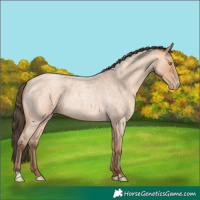 Horse Color:Amber Champagne Roan 