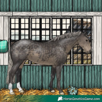 Horse Color:Silver Smoky Black