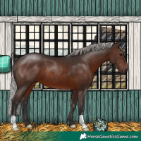 Horse Color:Silver Brown