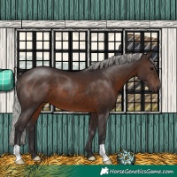 Horse Color:Silver Brown 
