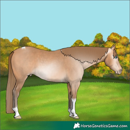 Horse Color:Gray Perlino Tobiano