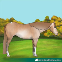 Horse Color:Gray Perlino Tobiano