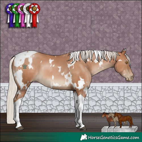Horse Color:White Spotted Silver Black Pearl Tobiano 