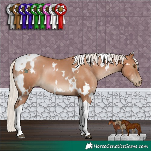 Horse Color:White Spotted Silver Black Pearl Tobiano 