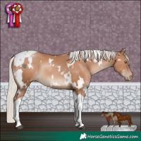 Horse Color:White Spotted Silver Black Pearl Tobiano 