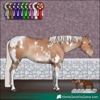 Horse Color:White Spotted Silver Black Pearl Tobiano 