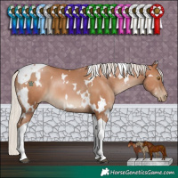 Horse Color:White Spotted Silver Black Pearl Tobiano 
