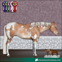 Horse Color:White Spotted Silver Black Pearl Tobiano