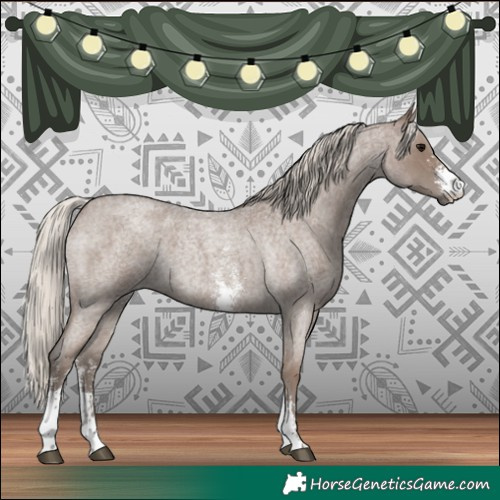 Horse Color:Silver Blue Roan Sabino 