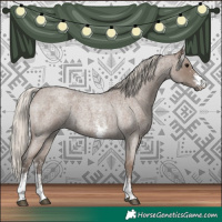 Horse Color:Silver Blue Roan Sabino 