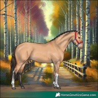 Horse Color:Bay Dun Tobiano