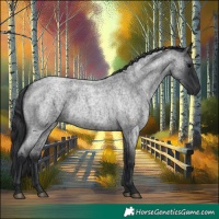 Horse Color:Blue Roan 
