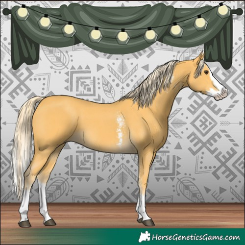 Horse Color:Palomino Sabino Splash 