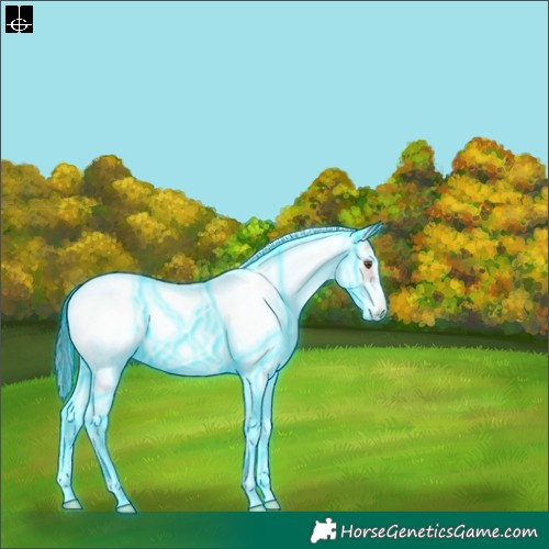 Horse Color:Thunderstruck White Spotted Bay Blanket 