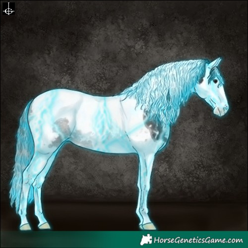 Horse Color:Thunderstruck White Spotted Black Splash Tobiano Appaloosa 