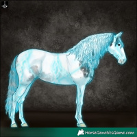 Horse Color:Thunderstruck White Spotted Black Splash Tobiano Blanket 