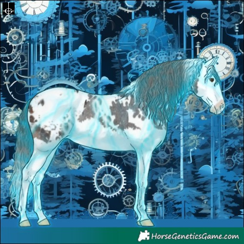 Horse Color:Thunderstruck White Spotted Brown Splash Appaloosa