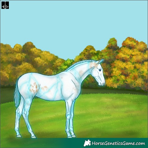 Horse Color:Thunderstruck White Spotted Buckskin Splash Tobiano Blanket 