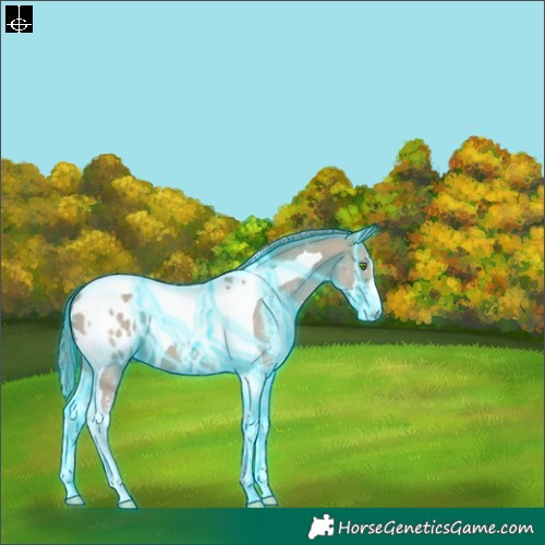 Horse Color:Thunderstruck Classic Cream Champagne Sabino Tobiano Appaloosa 