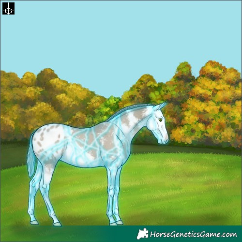 Horse Color:Thunderstruck Classic Cream Champagne Sabino Splash Blanket 