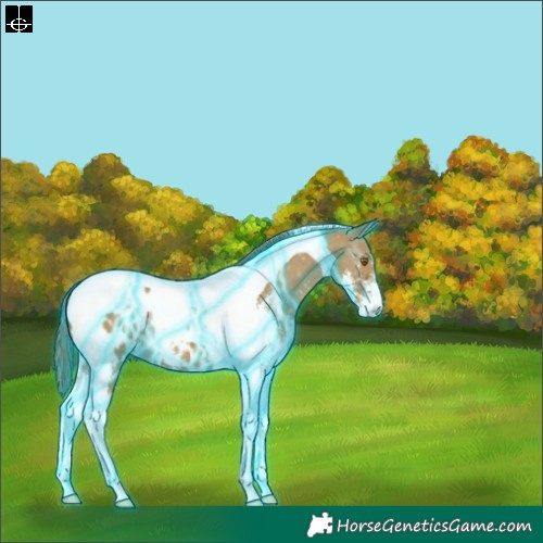 Horse Color:Thunderstruck Classic Cream Champagne Sabino Tobiano Appaloosa 