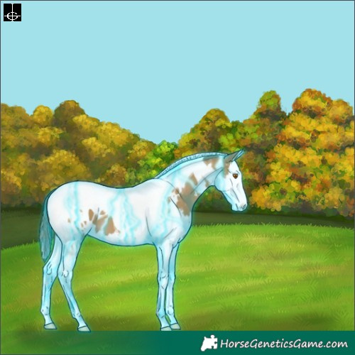 Horse Color:Thunderstruck White Spotted Classic Cream Champagne Splash Tobiano Appaloosa 