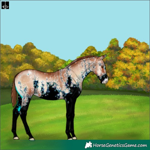 Horse Color:White Spotted Brown Pearl Onyx Snowflake Varnish 