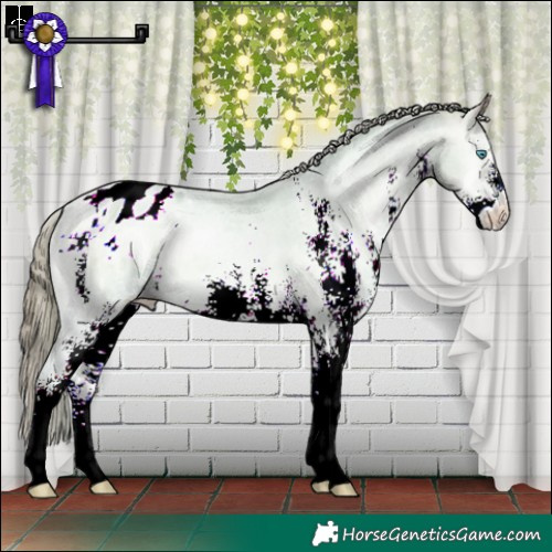 Horse Color:Watercolor White Spotted Buckskin Pearl Onyx Varnish 