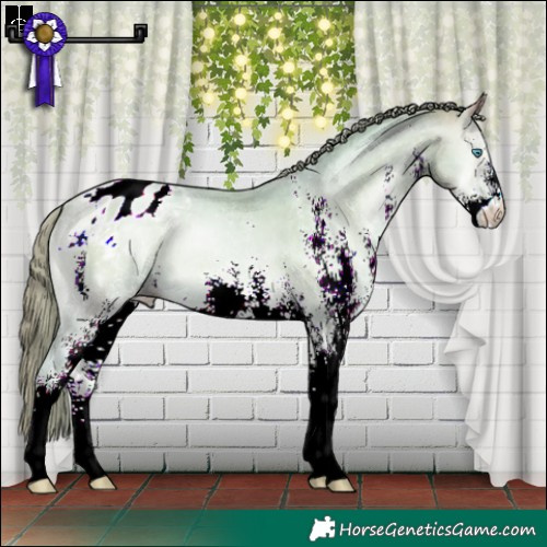 Horse Color:Watercolor White Spotted Buckskin Pearl Onyx Appaloosa 