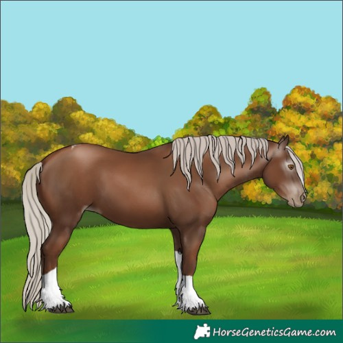 Horse Color:Gray Silver Black Pearl Tobiano 