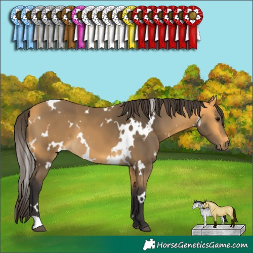 Horse Color:White Spotted Buckskin 