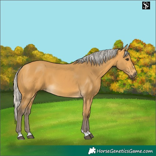 Horse Color:Silver Buckskin 
