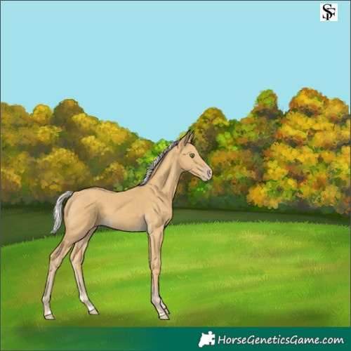 Horse Color:Silver Classic Cream Champagne 