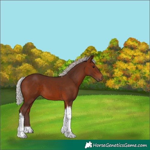 Horse Color:Silver Bay Tobiano 