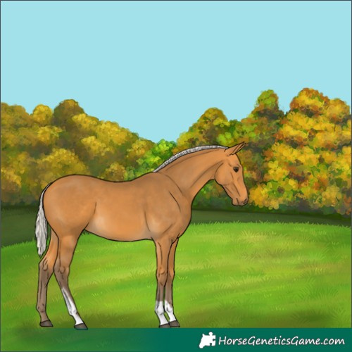 Horse Color:Silver Buckskin Tobiano