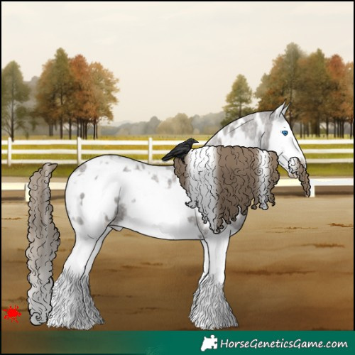 Horse Color:White Spotted Smoky Grullo Roan Splash Frame Appaloosa