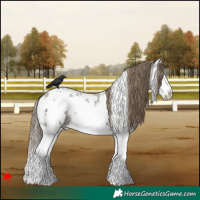 Horse Color:White Spotted Smoky Grullo Roan Splash Frame Blanket 