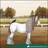 Horse Color:White Spotted Red Dun Near Fewspot 