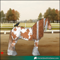 Horse Color:White Spotted Chestnut