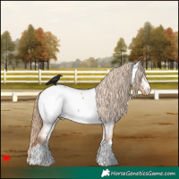 Horse Color:Red Dun Near Fewspot 