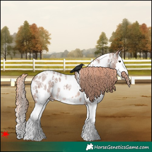 Horse Color:White Spotted Red Roan Splash Appaloosa 