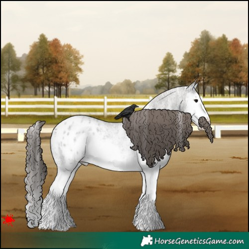 Horse Color:White Spotted Grullo Roan Splash Appaloosa Rabicano 