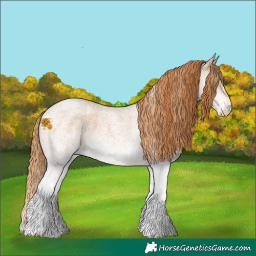 Horse Color:White Spotted Red Roan 