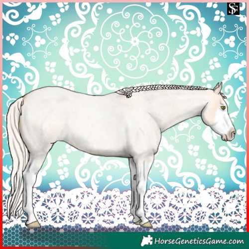 Horse Color:Silver Classic Champagne Roan Dun Splash Frame 