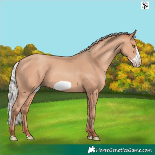 Horse Color:Silver Amber Champagne Frame 