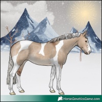 Horse Color:Silver Brown Dun Tobiano