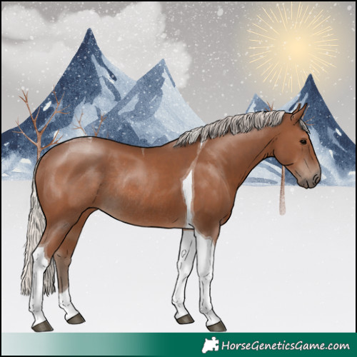 Horse Color:Silver Black Tobiano Rabicano 