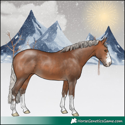 Horse Color:Silver Brown 