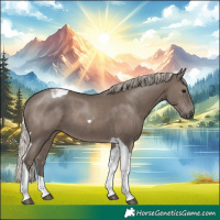 Horse Color:Silver Black Tobiano 
