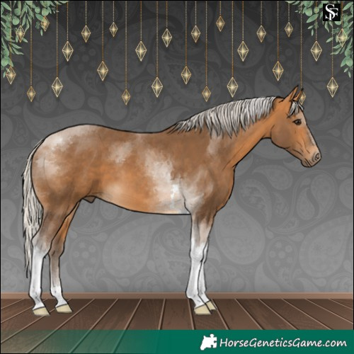 Horse Color:Silver Buckskin Tobiano 
